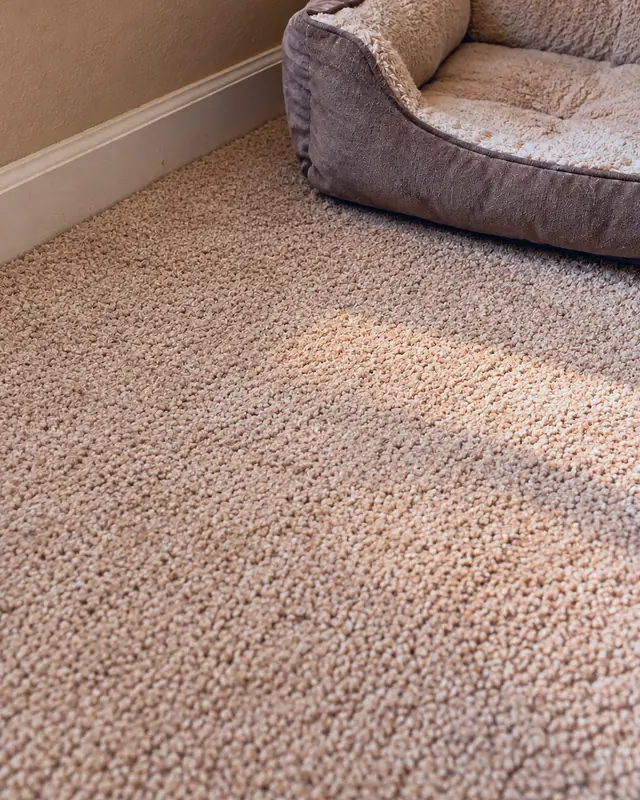 Example, after: pet stains beside a dog bed