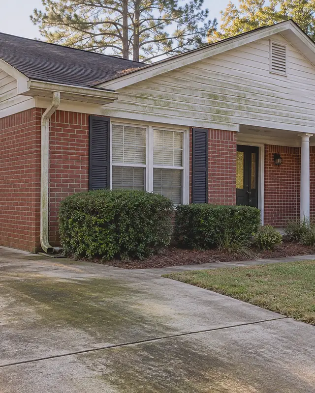 Example, before: mildew on siding and a driveway